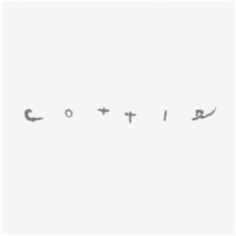 COTTLE logo