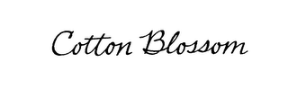 COTTON BLOSSOM logo