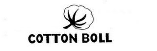 COTTON BOLL logo