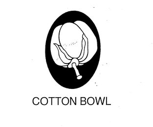 COTTON BOWL logo