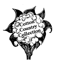 COTTON COUNTRY COLLECTION logo