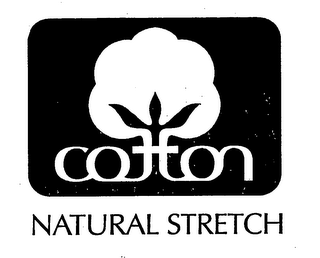 COTTON NATURAL STRETCH logo