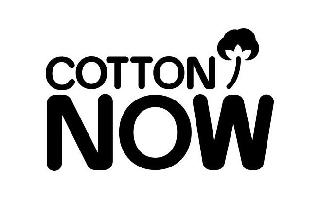 COTTON NOW logo