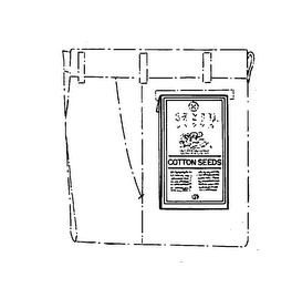 COTTON SEEDS logo