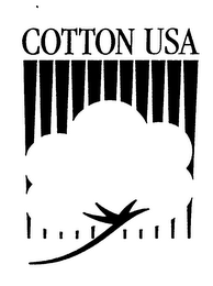 COTTON USA logo