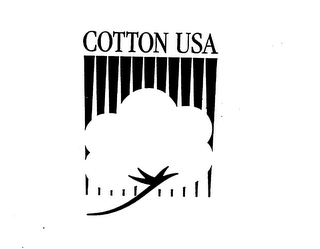 COTTON USA logo