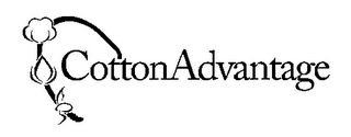 COTTONADVANTAGE logo