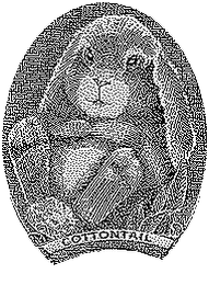 COTTONTAIL CURRENCY logo