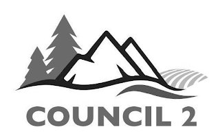 COUNCIL 2 logo