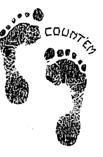 COUNT'EM logo