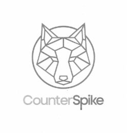 COUNTERSPIKE logo