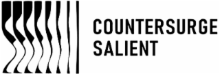 COUNTERSURGE SALIENT