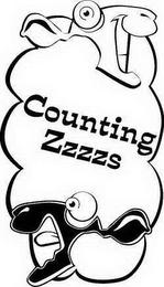 COUNTING ZZZZS logo