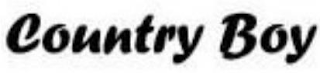 COUNTRY BOY logo