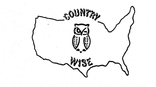 COUNTRY WISE logo