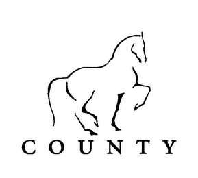 COUNTY logo