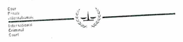 COUR PÉNALE INTERNATIONALE INTERNATIONAL CRIMINAL COURT logo