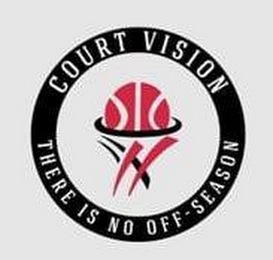 COURT VISION THERE IS NO OFF-SEASON logo
