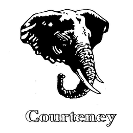COURTENEY logo