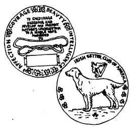 COVRAGE BEAVTY INTELLIGENCE IRISH SETTER CLUB OF AMERICA TO ENCOVRAGE BREEDING AND DEVELOP AND PERFECT NAIVRES CONTRIBVION TO A NOBLERACE AWARDED TO logo
