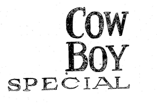 COW BOY SPECIAL logo
