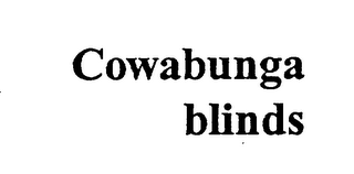 COWABUNGA BLINDS logo