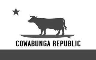 COWABUNGA REPUBLIC logo