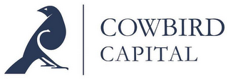 COWBIRD CAPITAL logo