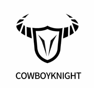 COWBOYKNIGHT logo