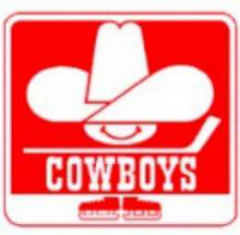COWBOYS logo