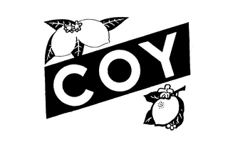 COY logo