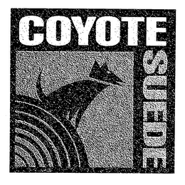 COYOTE SUEDE logo