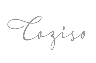 COZISO logo