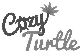 COZY TURTLE logo