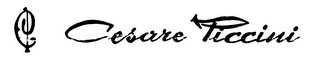 CP CESARE PICCINI logo