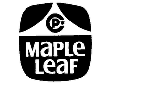 CP MAPLE LEAF