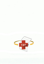 CPR SYSTEM logo