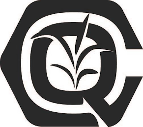 CQ logo