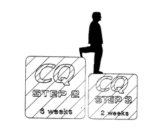 CQ STEP 2 6 WEEKS CQ STEP 3 2 WEEKS logo