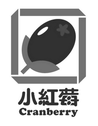 CRANBERRY logo