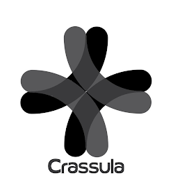 CRASSULA logo