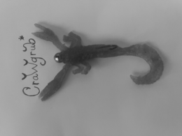 CRAWGRUB* logo