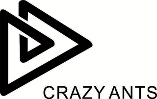 CRAZY ANTS logo