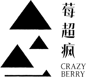 CRAZY BERRY logo