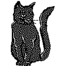 CRAZY CAT LADY CORNER MEWS logo