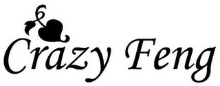 CRAZY FENG logo