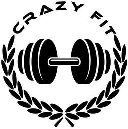 CRAZY FIT logo