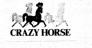 CRAZY HORSE