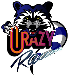 CRAZY RACCOON logo