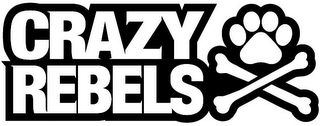 CRAZY REBELS logo